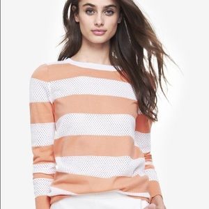 Express coral mesh light weight sweater